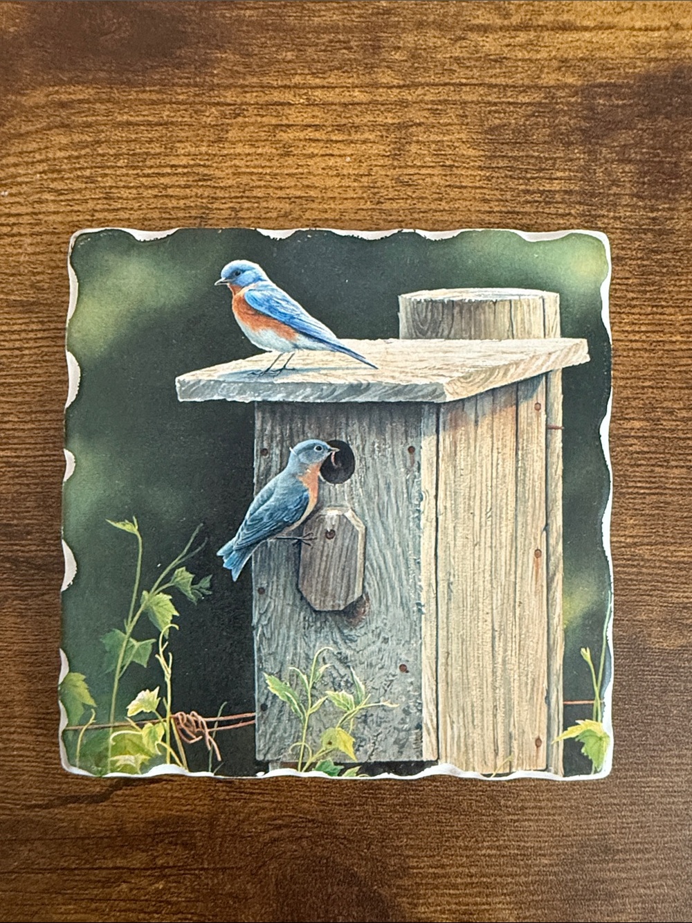 Ceramic bluebird coasters (set of 4)